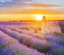 PREMIUM - Cruise through Provence (LUNA)