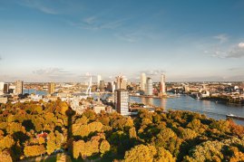 PREMIUM - Rhine metropolises (Brava)