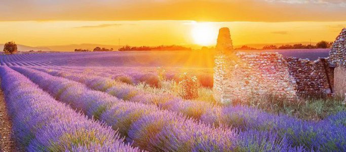 PREMIUM - Cruise through Provence (LUNA)