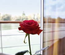Říční plavba po Dunaji s českým průvodcem a dopravou