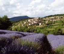 Ke Středozemnímu moři přes Provence - říční plavba s leteckou dopravou a českým průvodcem