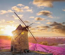 PREMIUM - Cruise through Provence (LUNA)