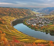 Traben Trarbach | Prémiová plavba údolím Mosely s leteckou dopravou a českým průvodcem
