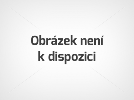 Dunaj z Vídně