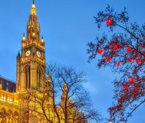 PREMIUM - Christmas Markets on the Danube (MIA)
