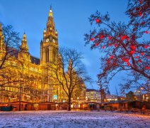 Okouzlující vánoční trhy na Dunaji (Flora)