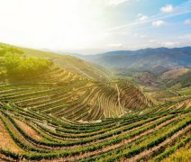 Plavba údolím Doura 2027 s leteckou dopravou a českým průvodcem
