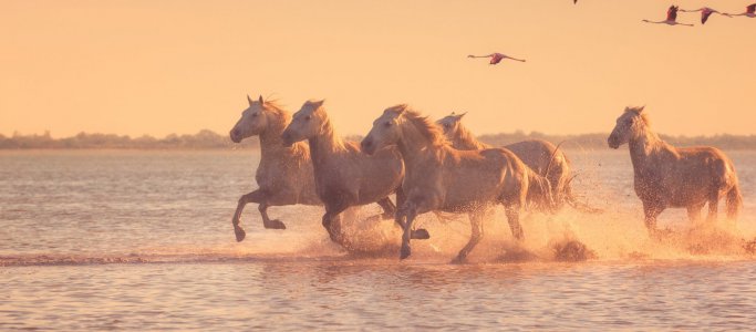 BASIC - Intenzivní Rhôna (LUNA)