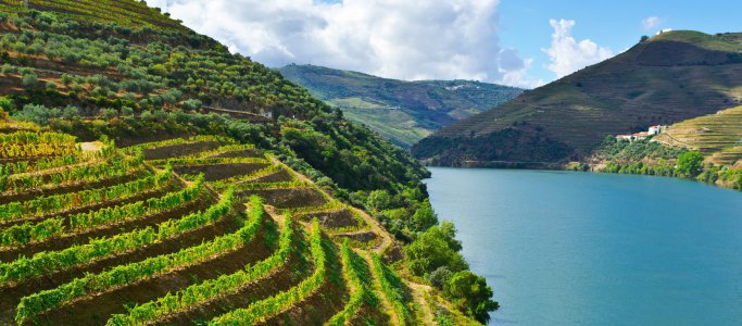 PREMIUM - Po portugalském Douru za sluncem (ALVA)