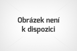 BASIC - Zažijte Normandii a Paříž (VIVA)