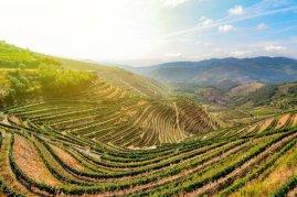 Plavba údolím Doura 2027 s leteckou dopravou a českým průvodcem