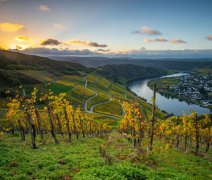 údolí s vinicemi | Prémiová plavba údolím Mosely s leteckou dopravou a českým průvodcem